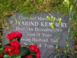 image of grave number 919779